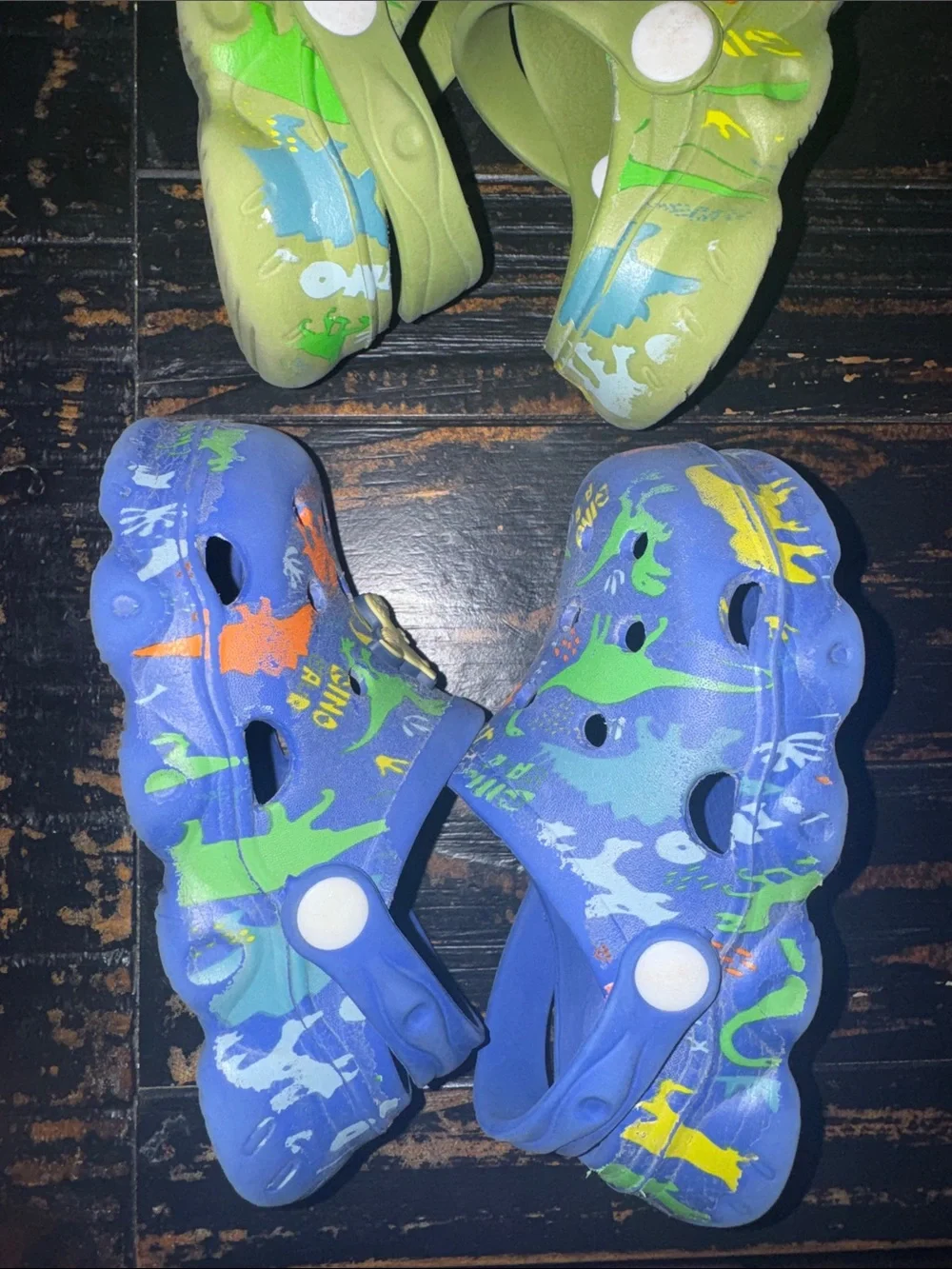 Kids' Dinosaur Clog Shoes - Green and Blue
